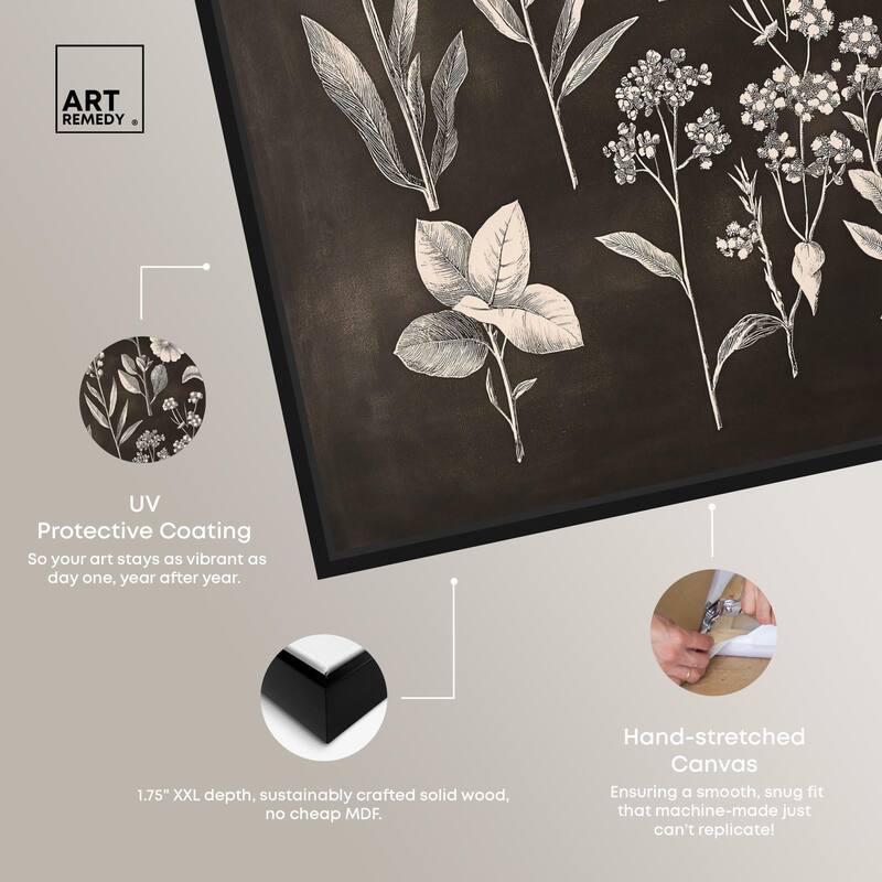 Herbarium on Dark Canvas by Art Remedy