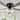 Bella Depot 52"/60" Black Farmhouse Flush Mount Ceiling Fan with Light and Remote 6-Speed Fan for Bedroom Living Room