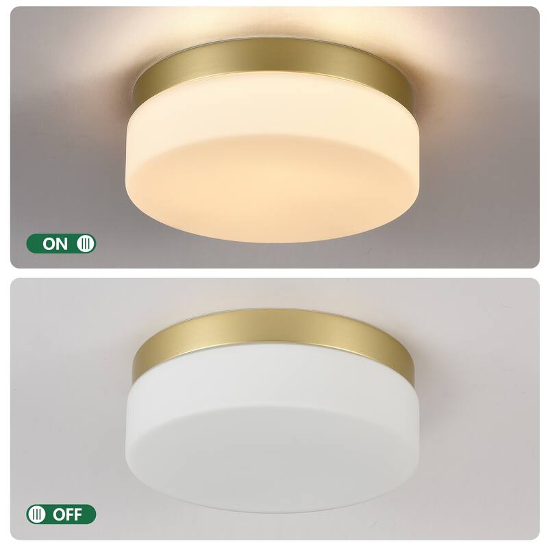 LED Flush Mount Ceiling Light Fixture, Modern Ceiling Lamp 24W 12 Inch Closet Round Surface for Bathroom Laundry Bedroom