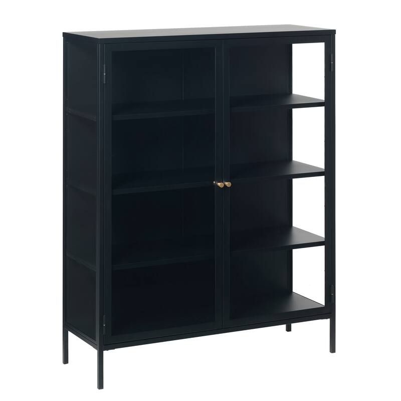 Rye Studio Cairyn Modern Glass and Metal Cabinet