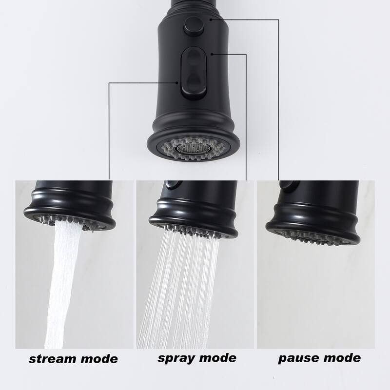 Topcraft Single Handle Pull-Out Kitchen Faucet with Base Plate