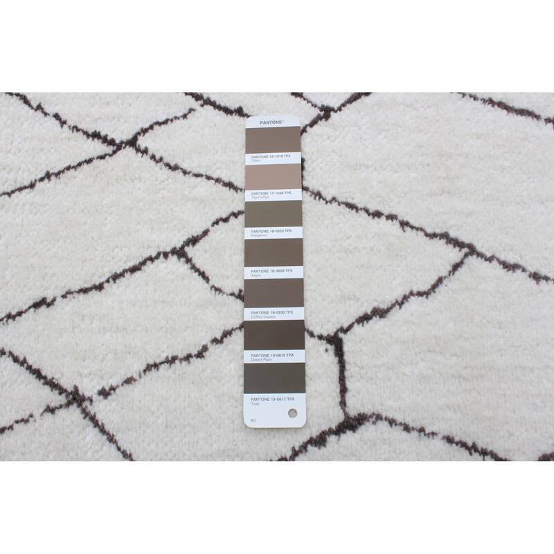 ECARPETGALLERY Anis Transitional Rug