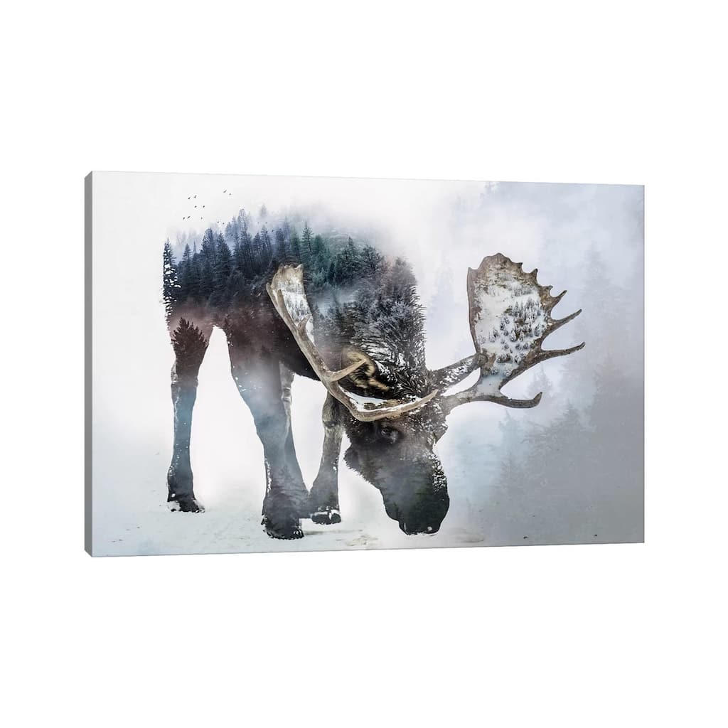 iCanvas "Nature Moose" by Paul Haag Canvas Print