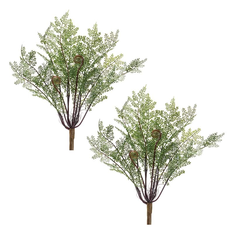 Fern Bush (Set of 2)