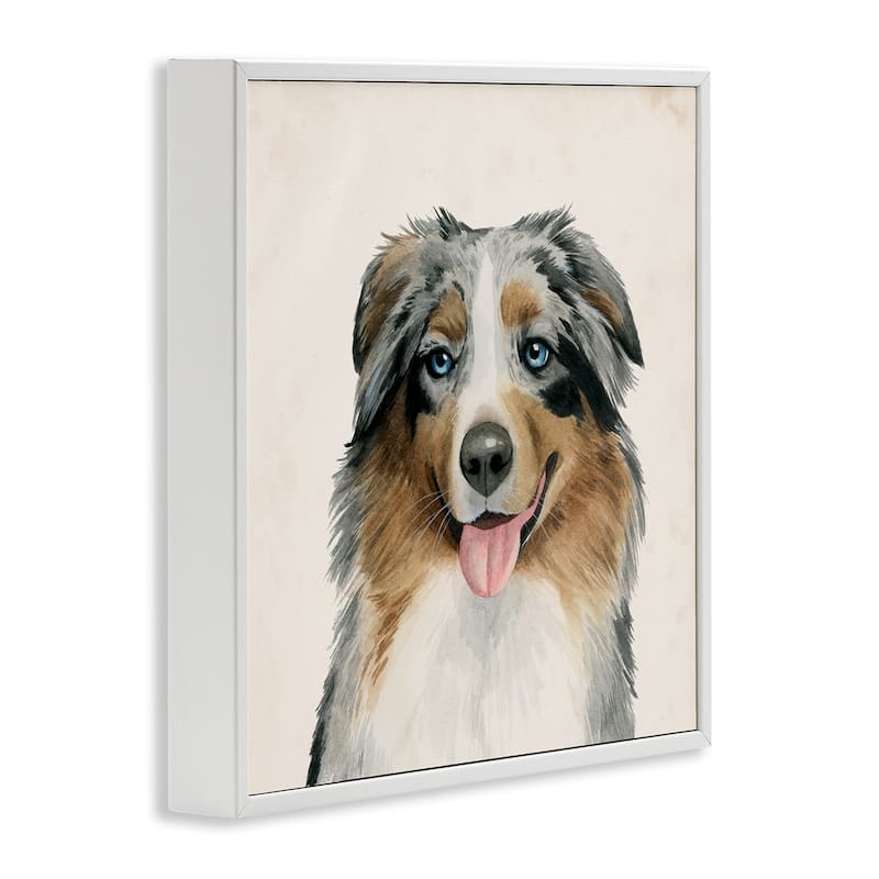Stupell Soft Charming Australian Shepard Dog Portrait Framed Wall Art,12x12