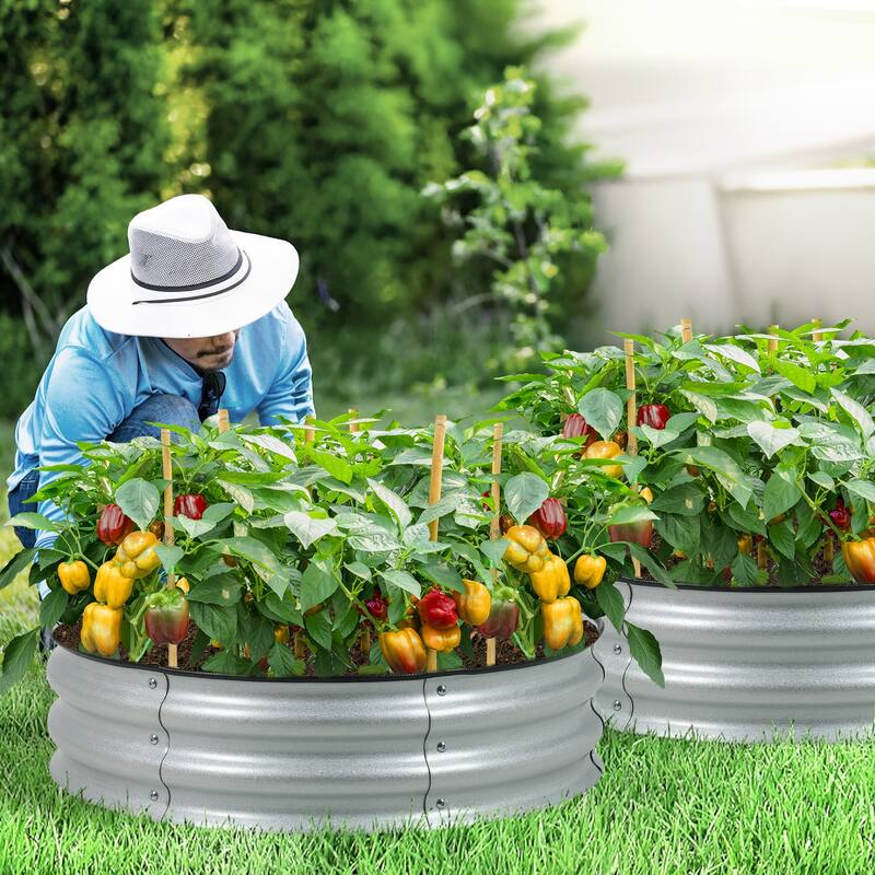 Aoodor Metal Galvanized Raised Garden Bed (Set of 2)