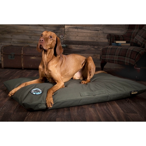 Scruffs memory foam dog bed new arrivals