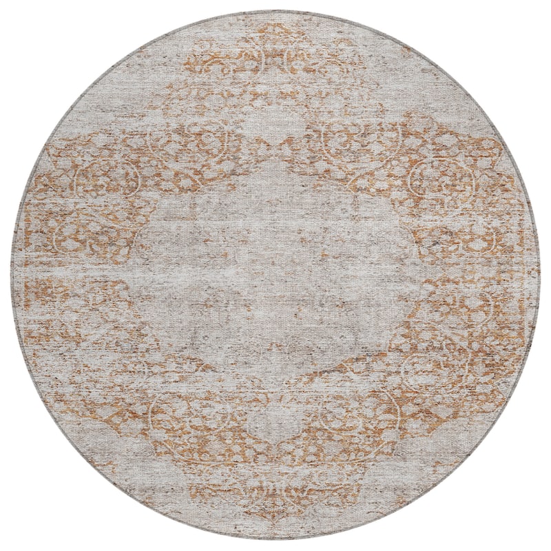 Machine Washable Indoor/ Outdoor Vintage Traditional Chantille Rug
