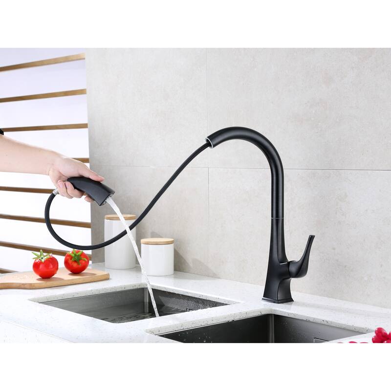 Ultra Faucets Quest Collection Single-Handle Kitchen Faucet With Pull-Down Spray