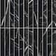 Option Marquina