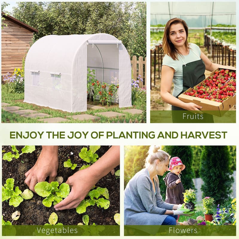 Walk-in Tunnel Greenhouse Warm