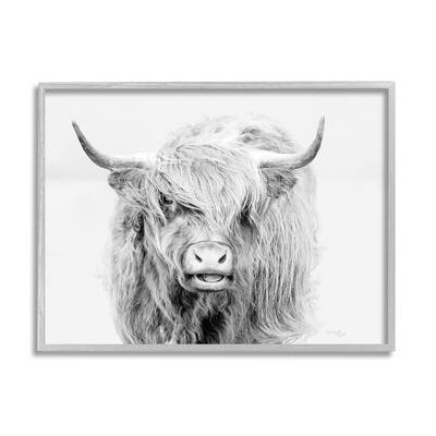 Stupell Expressive Highland Cattle Monochrome Animal Portrait Framed Wall Art, Design by Jennifer Pugh