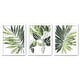 preview thumbnail 1 of 1, Modern Botanicals By World Art Group 3 Piece Framed Print Wall Art Set White - 24 x 36
