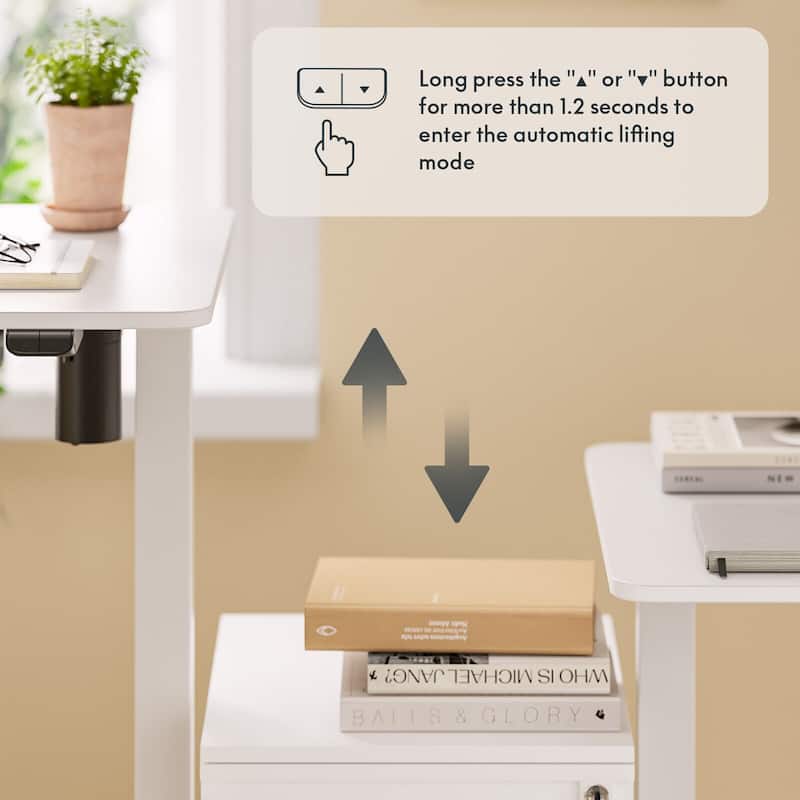 FlexiSpot Electric Standing Desk Whole-Piece Desk Board Computer Desk Height Adjustable Desk for Home Office