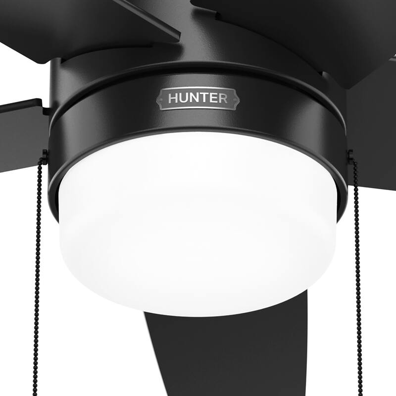 Hunter Bardot Ceiling Fan with LED Light Kit and Pull Chain, Modern, Contemporary, Transitional