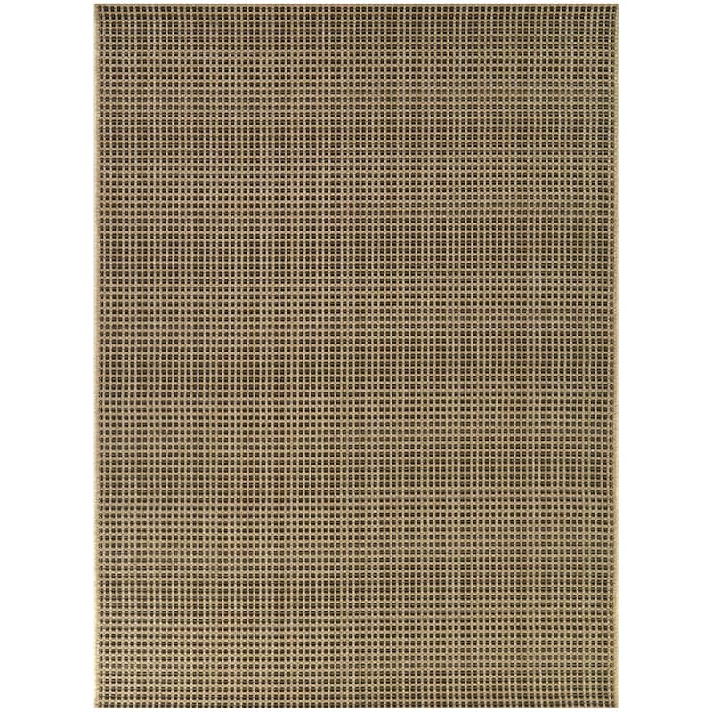 Leocadia Solid Flatweave Indoor/Outdoor Area Rug - 7'10" x 10' - Brown