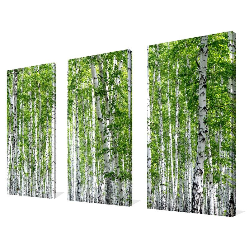 "Birch Trees III" 3 Piece Set on Canvas
