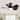 Sofucor 30"Flush Mount Ceiling Fan with Dimmable LED & Remote,6 Speed Reversible Motor,Timing & Memory Function,for Low Ceilings