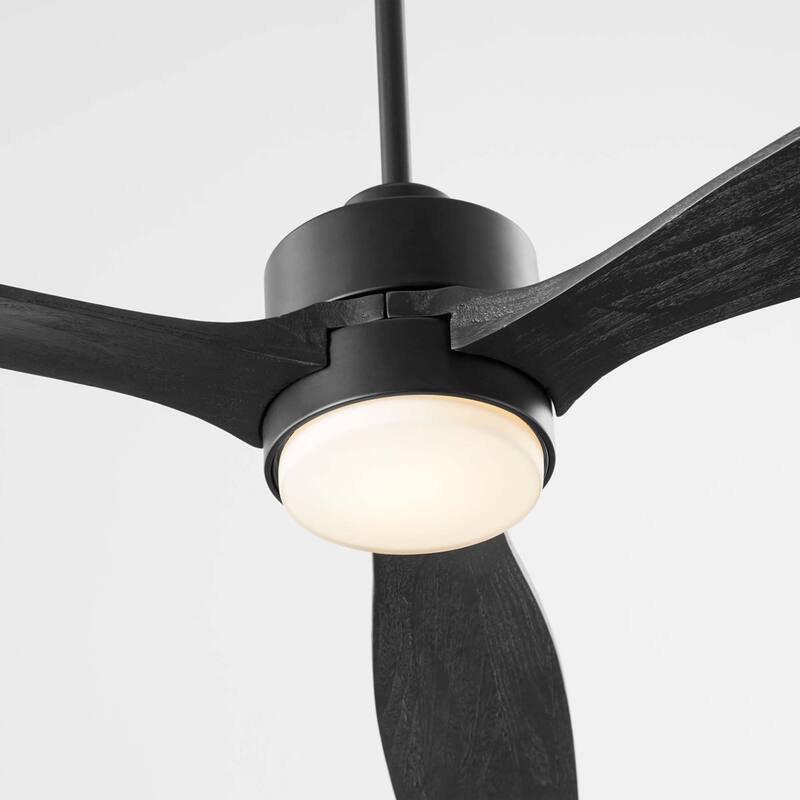 Quorum International 21653 Reni 65" 3 Blade Indoor Ceiling Fan with