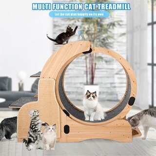 Cat Sports Running Wheel - Bed Bath & Beyond - 38454280