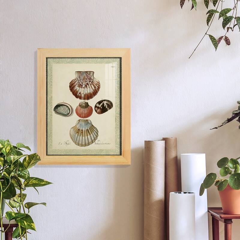 Bookplate Shells III -Framed Print w/glass-Cherry Red