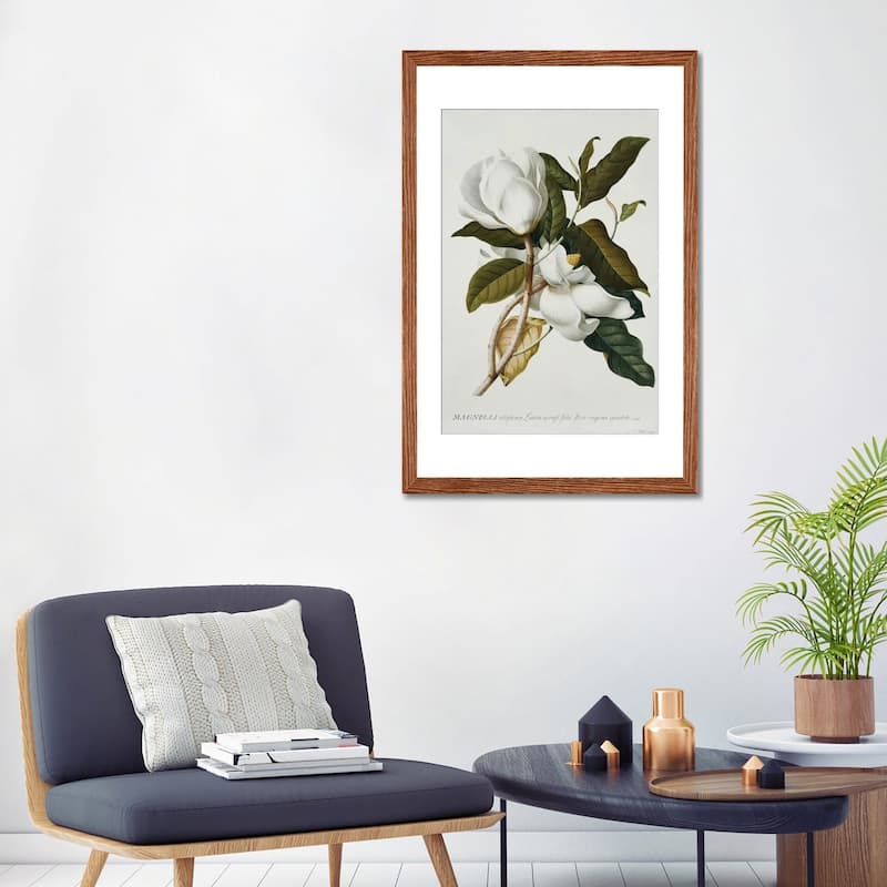 iCanvas "Magnolia," by Georg Dionysius Ehret