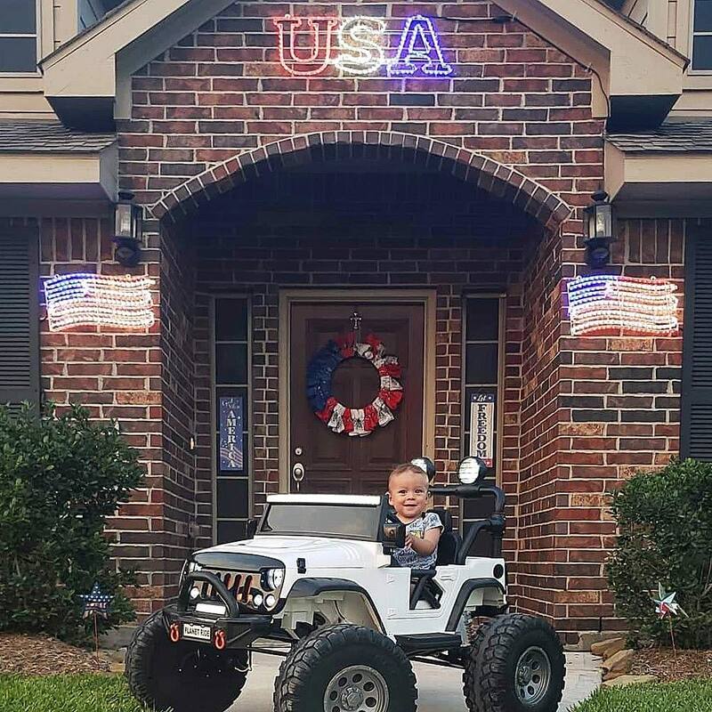 Novelty Lights USA American Flag Rope Light Sculpture, 4th of July Decorations - American Flag