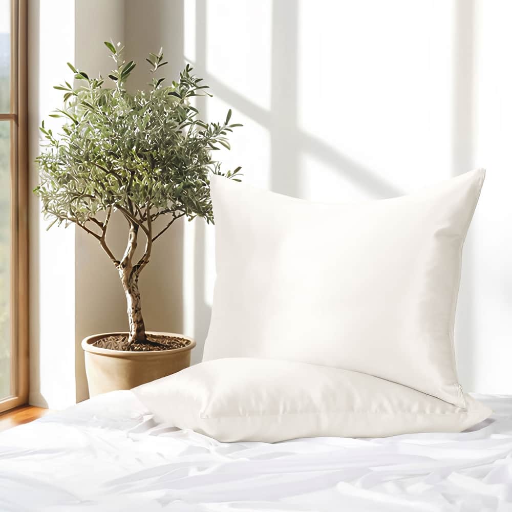 Becky Cameron 100% Mulberry Silk Zippered Pillowcase 2 Piece Set