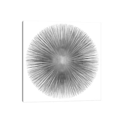 iCanvas "Silver Sunburst I" by Abby Young Canvas Print