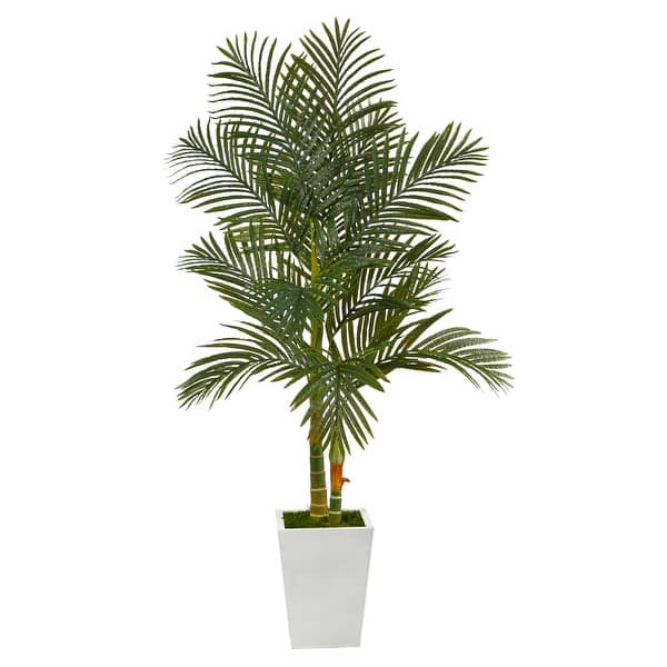 jet diamond peace lily Buy Spathiphyllum Jet Diamond Online in Australia  Queens Garden Centre