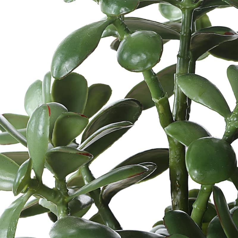 Jade Crassula Artificial plant with Ceramic Pot - 23.5" - Green and Beige