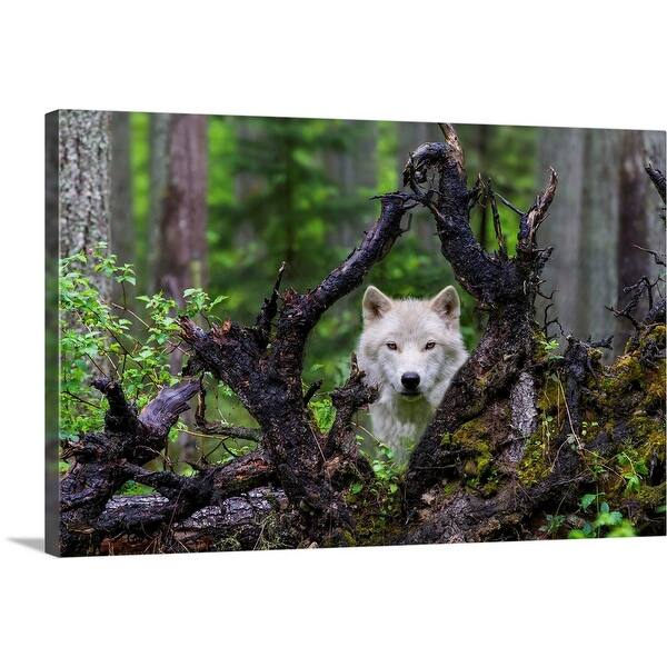 Shop Wolf Canvas Wall Art On Sale Free Shipping Today Overstock 16490300