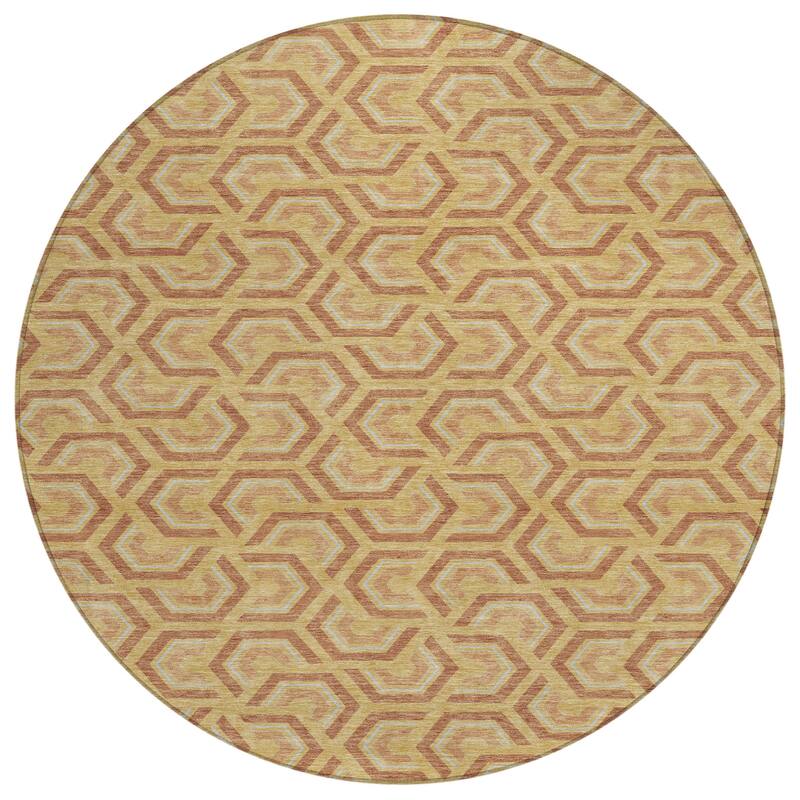 Machine Washable Indoor/ Outdoor Modern Zoa Chantille Rug