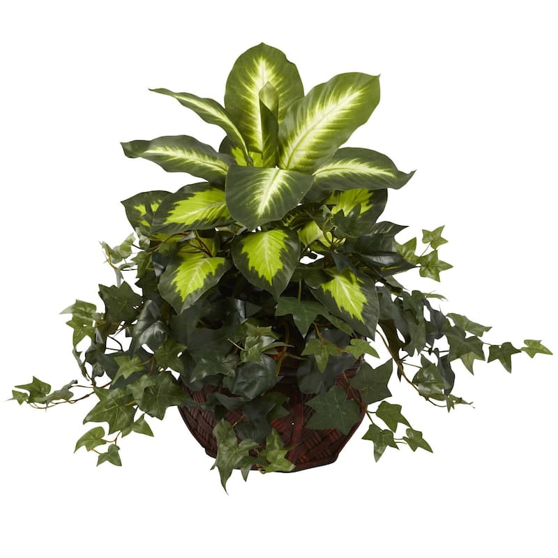Dieffenbachia Plant with Planter Indoor Houseplant Decor Decorative Greenery for Home & Office - 1.67ft.