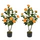 preview thumbnail 1 of 7, Set of 2 Artificial Camellia Trees 36 Inch Lifelike Indoor Decorative Plants with Cement Pots - 5" x 36" Orange