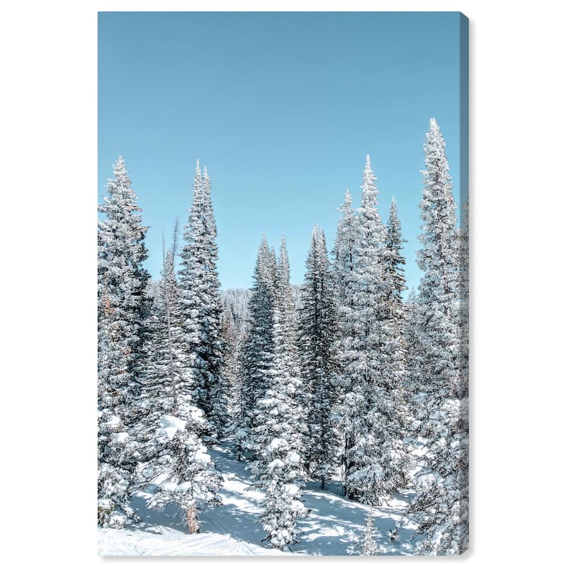 Wynwood Studio Canvas Floral and Botanical Its Cold Blue and Modern & Contemporary Wall Art Canvas Print