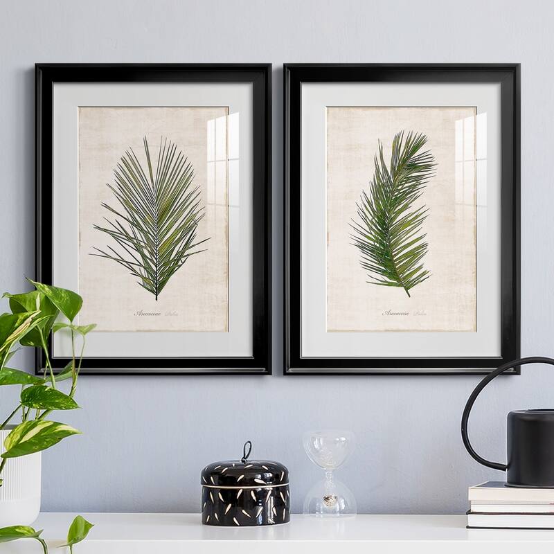 Palm Botanical I Premium Framed Print - Ready to Hang
