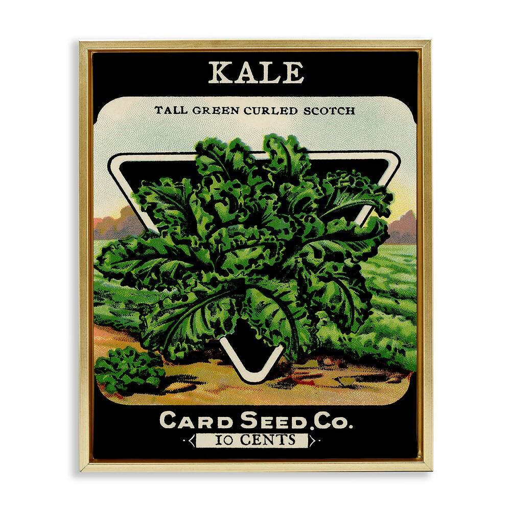 Stupell Vintage Garden Kale Framed Floater Canvas Wall Art Design By Lil' Rue