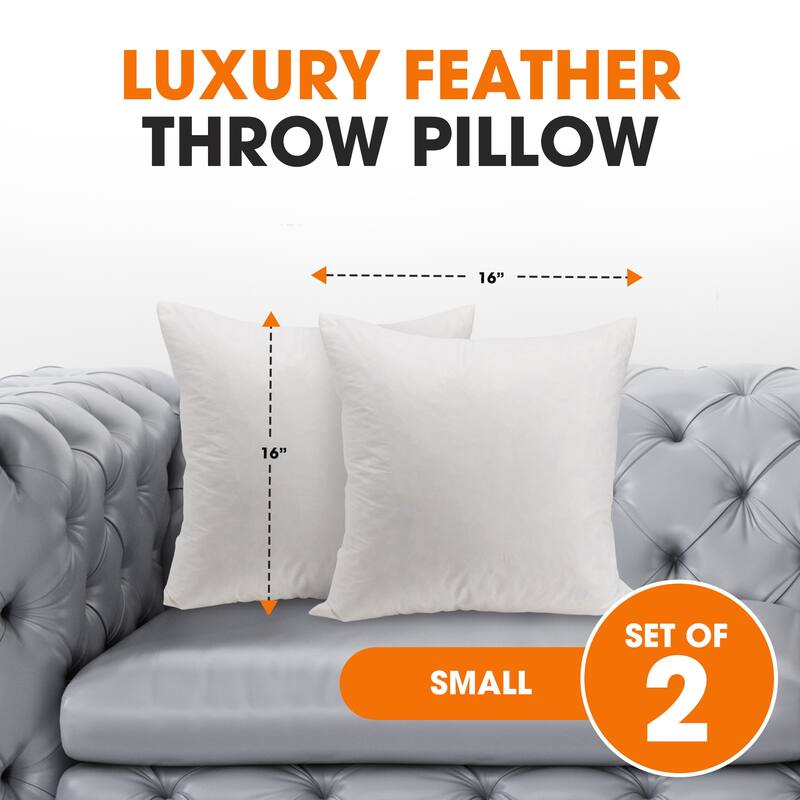Cheer Collection Feather Down Decorative Square Pillow