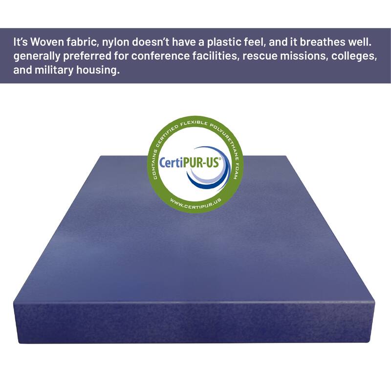 10-Inch Medium Firm Water Resistance Nylon Vinyl Foam Mattress, Noiseless, Soft Cloud Feeling, Body Heat Reflection, Blue