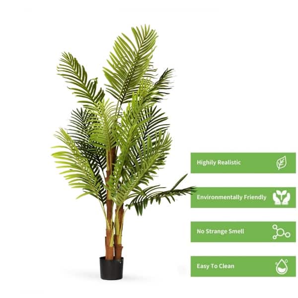 ficus lyrata fiddle leaf fig Ficus lyrata 'Fiddle Leaf Fig' – B.Willow main image 0