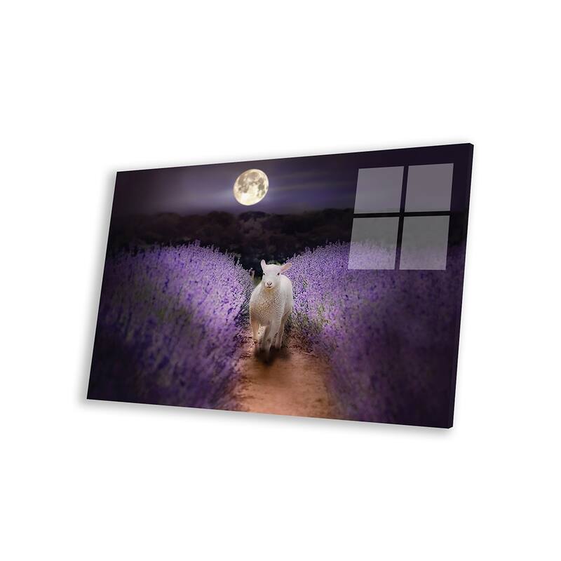 Little Lamb Moonlight Print On Acrylic Glass by Karen Burke
