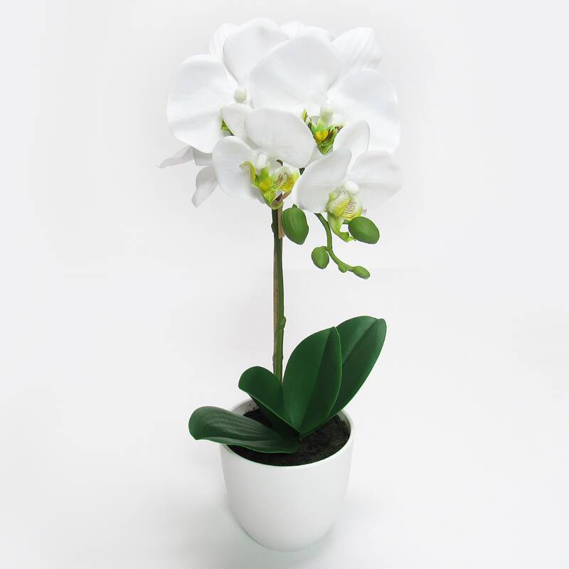 Artificial Phalaenopsis Orchid Flower Arrangement in White Pot 17in - 17" H x 8.5" W x 6" DP - White