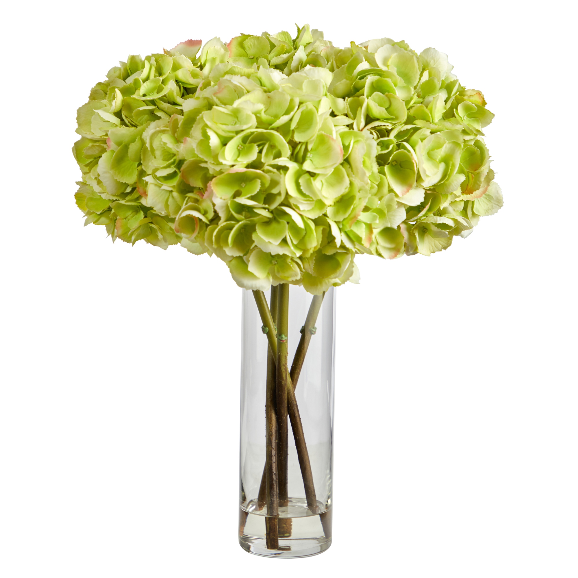 ◆Hydrangea4936◆ Blue Ribbon in Arlington, Carrolton & Plano | In Bloom Flowers