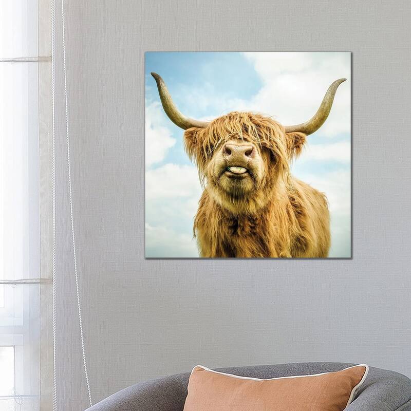 iCanvas "Highland Cow" by Mark Gemmell Canvas Print - 26x26x1.5
