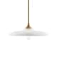 Option Warm Brass