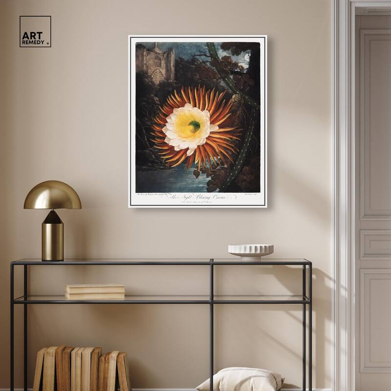 Night-Blowing Cereus 1807 Canvas by Art Remedy