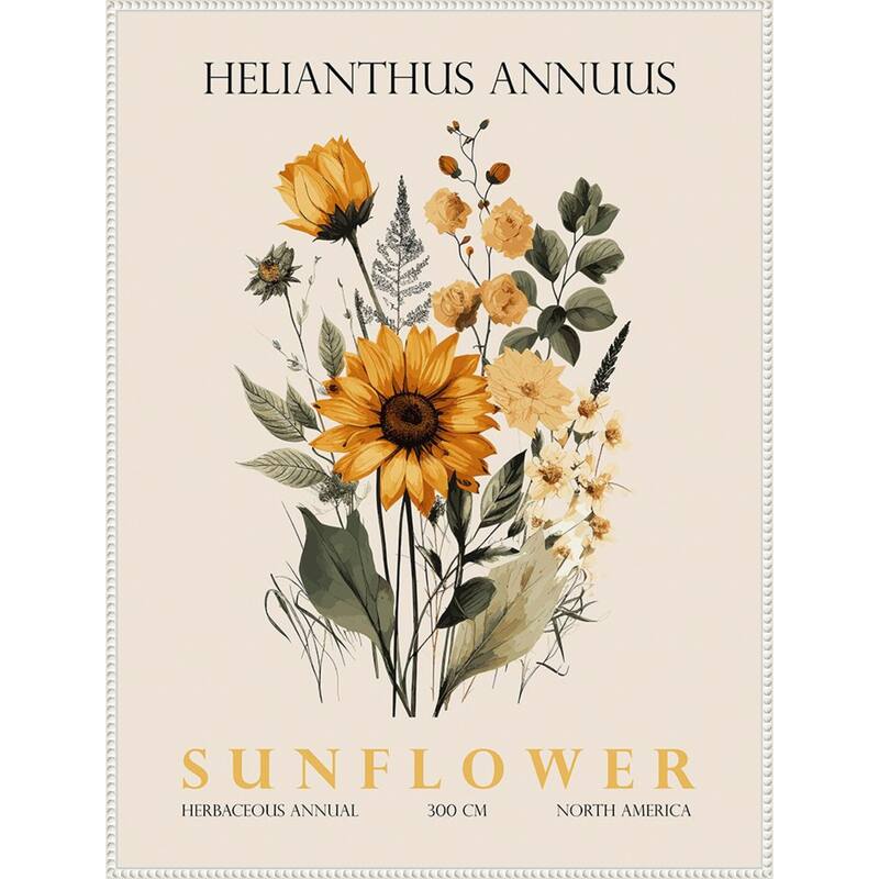 Vintage Botanical Sunflower No. 2 Illustration by Christopher Giampietro Framed Canvas Wall Art Print