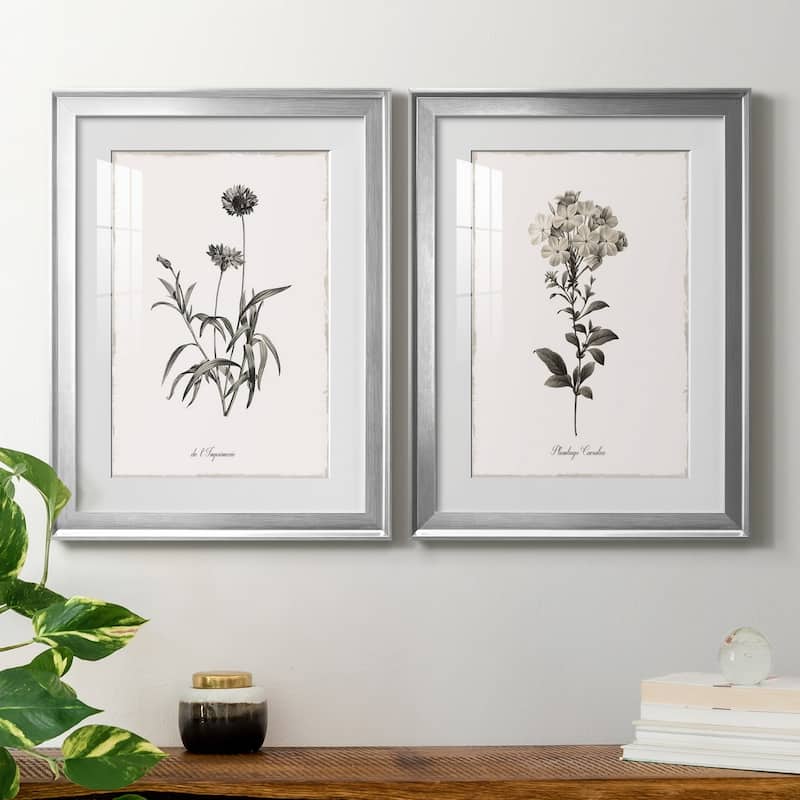 Sketchbook Imperial Premium Framed Print - Ready to Hang