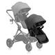 Option Sabino Gray